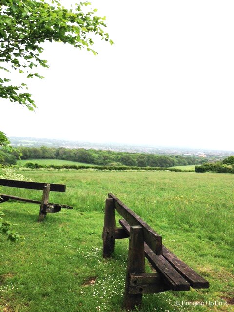 Sussex Downs